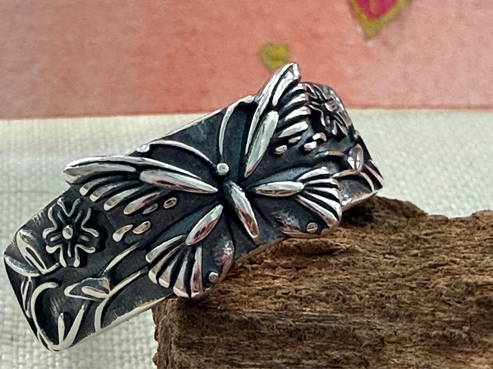 First Butterfly